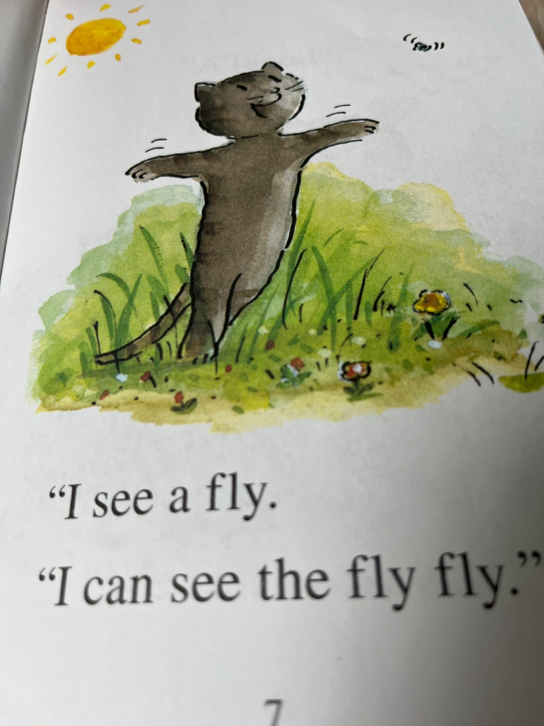 My First I Can Read Book: I See, You Saw - photo 2
