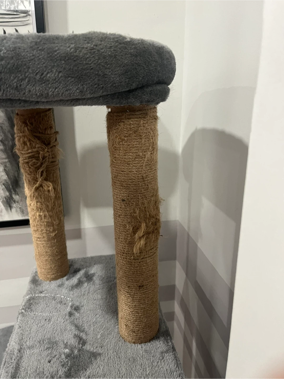 Grey Multi-Level Cat Tree Condo