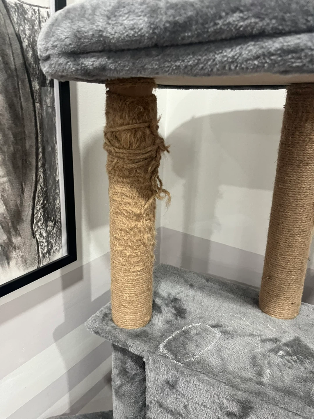 Grey Multi-Level Cat Tree Condo - photo 4
