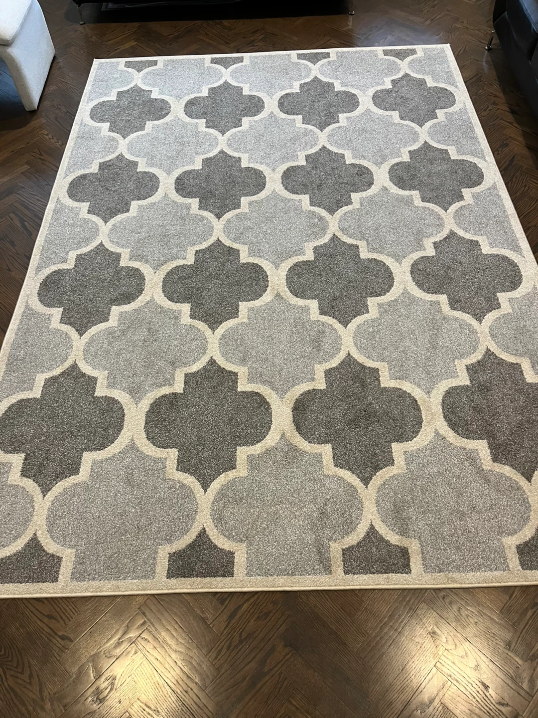 Beautiful Large Area Rug in Excellent Condition