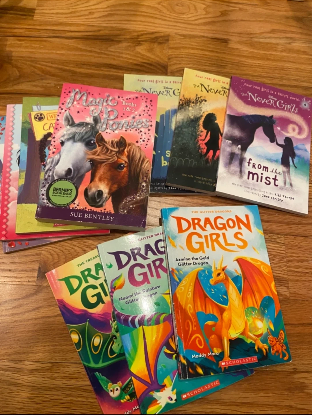 Magic Ponies & Dragon Girls Books