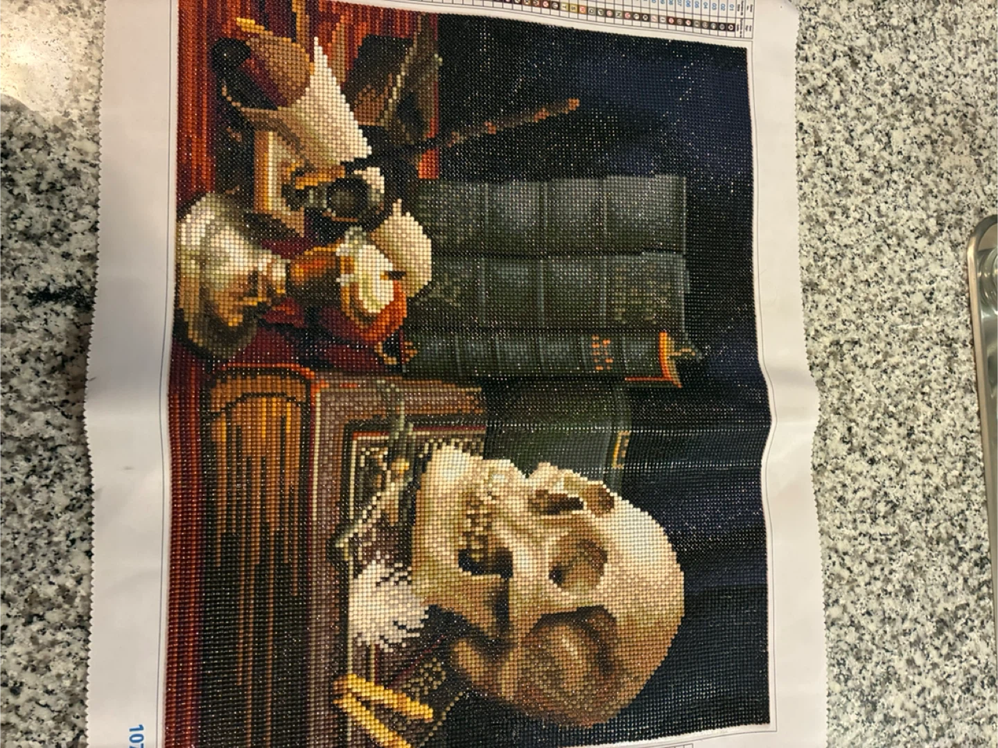 Diamond Painting Kit - Skull & Books