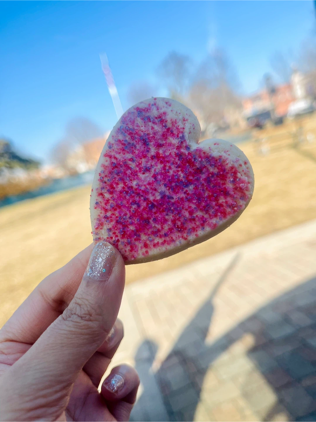 Heart-shaped cookie with pink and purple sprinkles