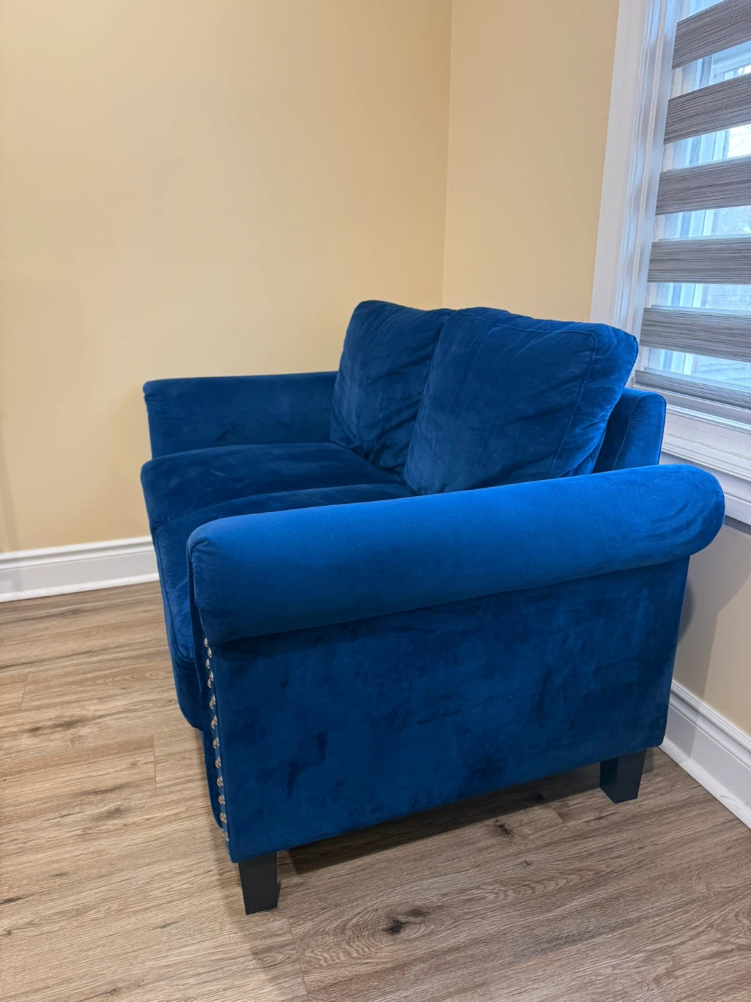 Blue Velvet Loveseat with Stud Detailing - photo 3