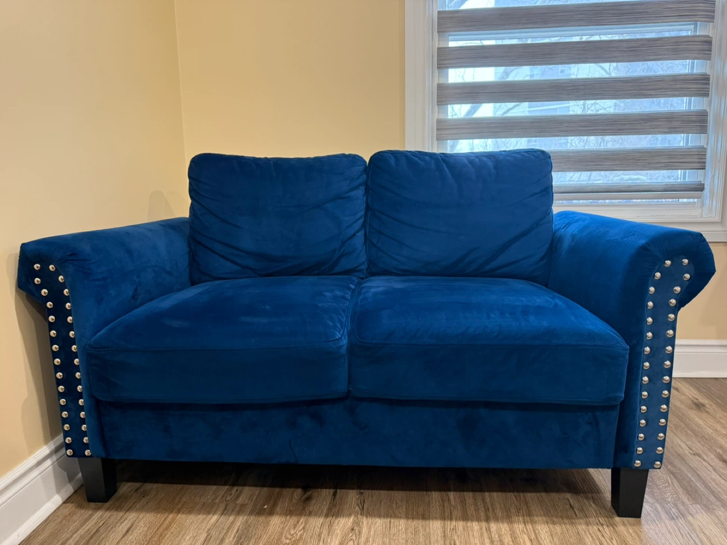Blue Velvet Loveseat with Stud Detailing