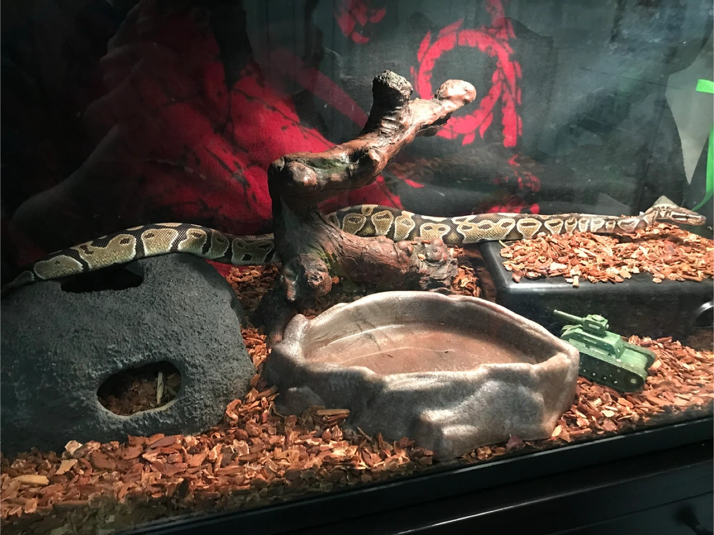 Glass Terrarium / Tank - photo 5