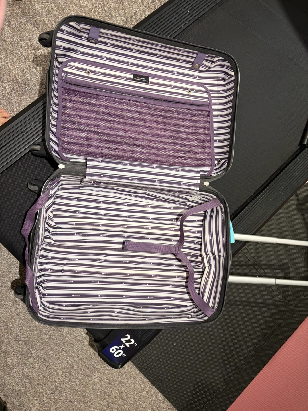 Delsey Luggage - Purple