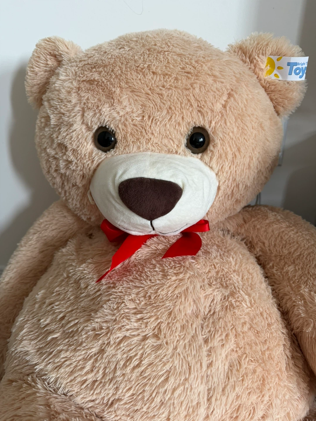 Bright Time Toys Giant Teddy Bear🧸