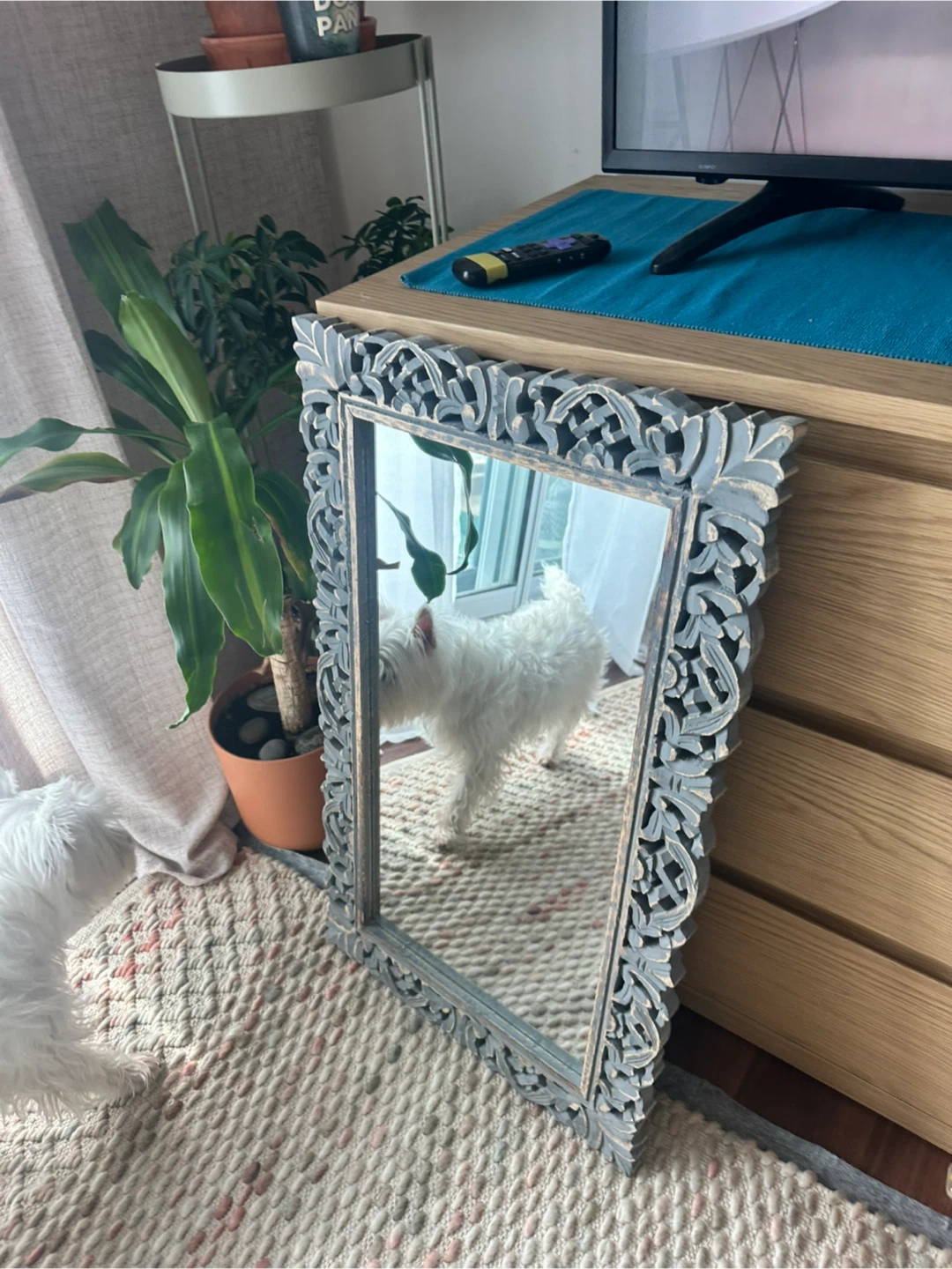Decorative Mirror 29.5X17.5