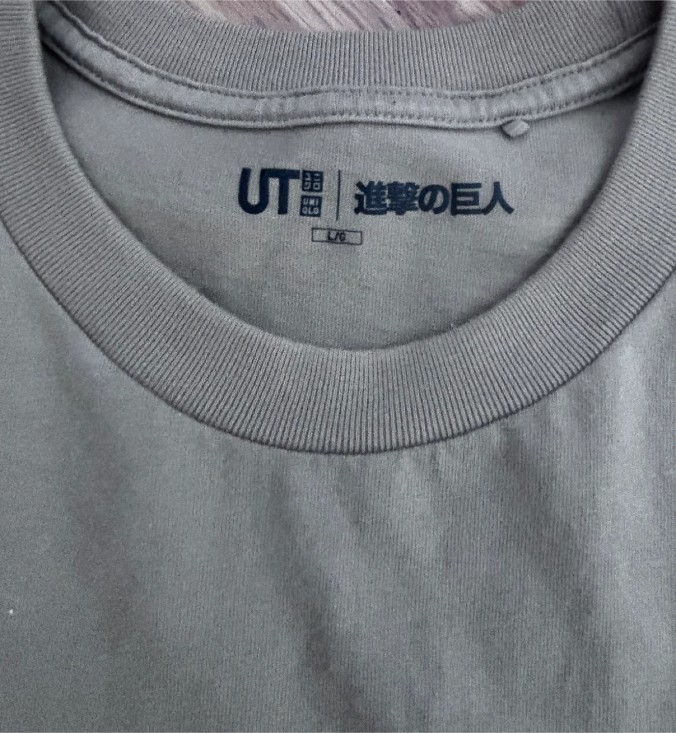 Attack on Titan Graphic T-Shirt (men’s large) - photo 4