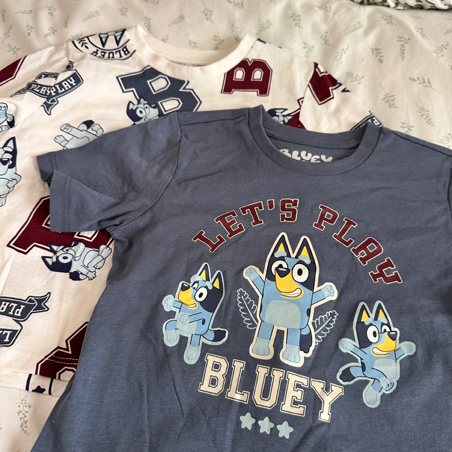 NWT Bluey T-Shirts Size 4T (2 Pack) - photo 2