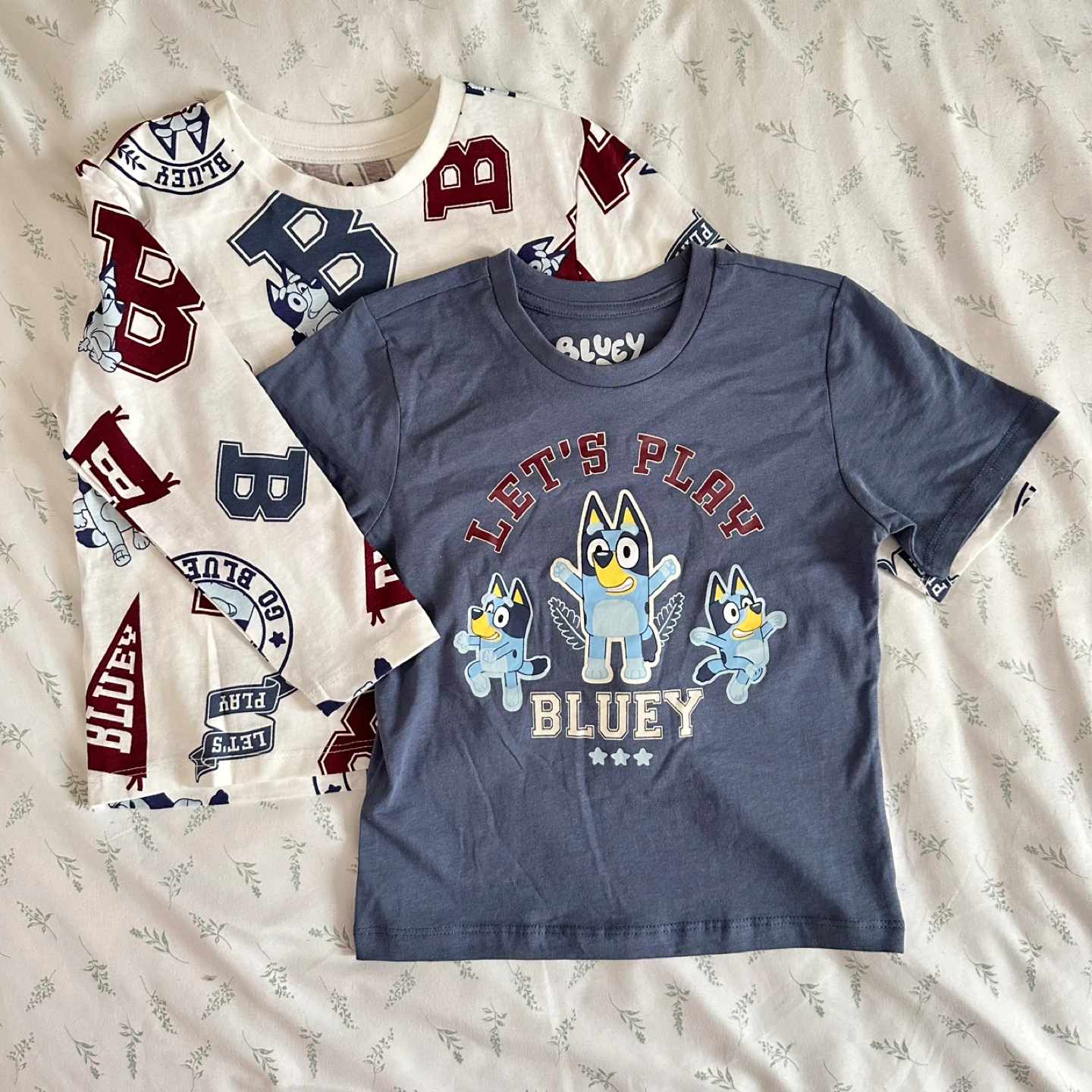 NWT Bluey T-Shirts Size 4T (2 Pack)