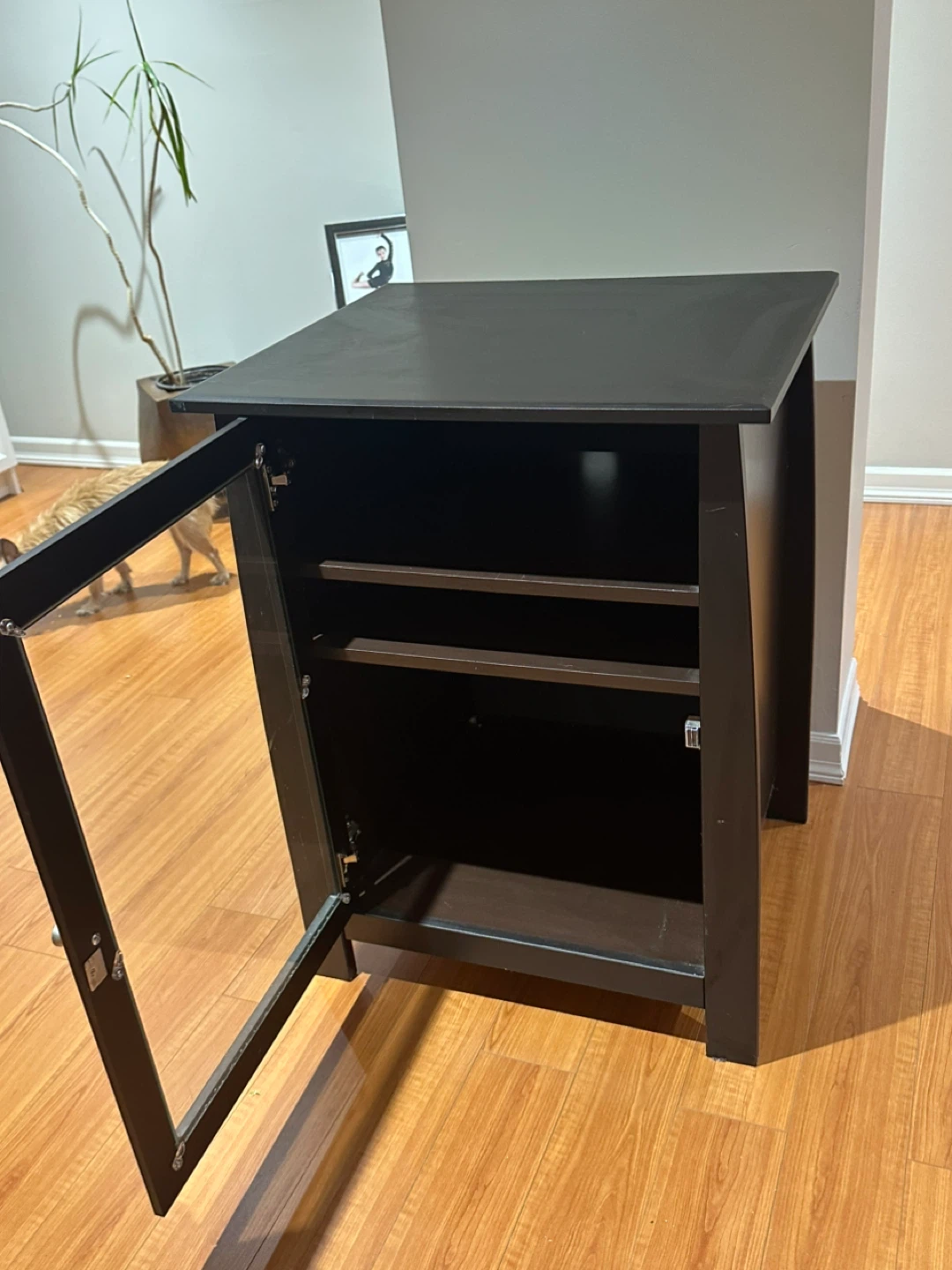 Cute ! Dark Brown Media Cabinet with Glass Door - photo 2