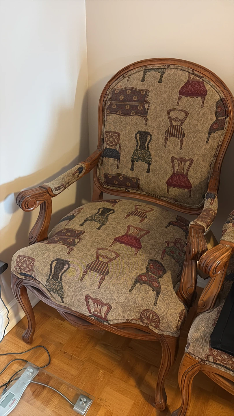 Pair of Accent Chairs with Novelty Upholstery - photo 4