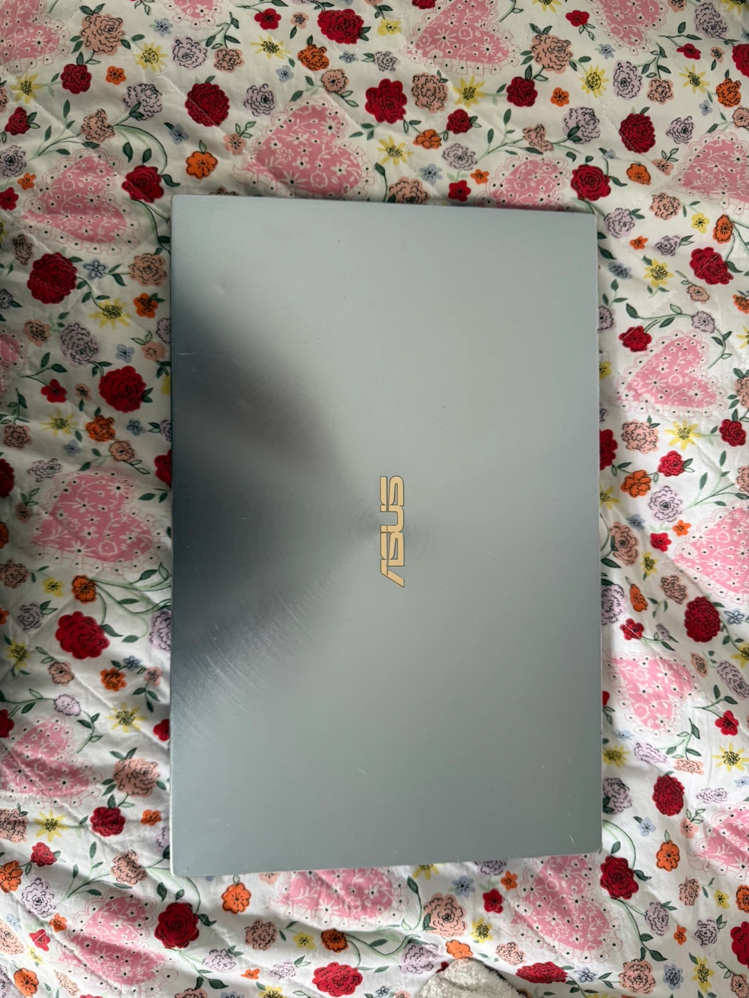 ASUS ZenBook UM81D Laptop PC
