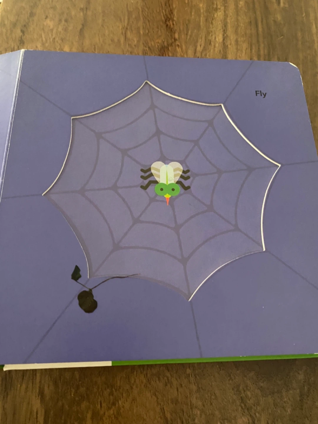 Little Critters Touch Think Learn Book