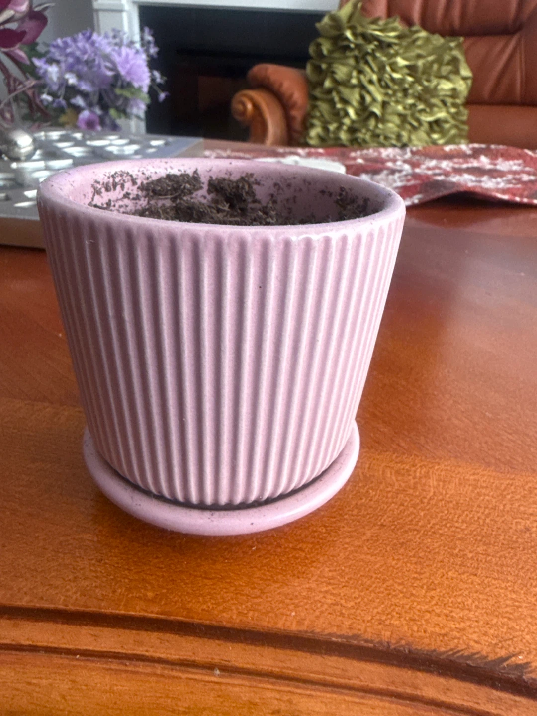 Pink ceramic fluted plant pot with saucer