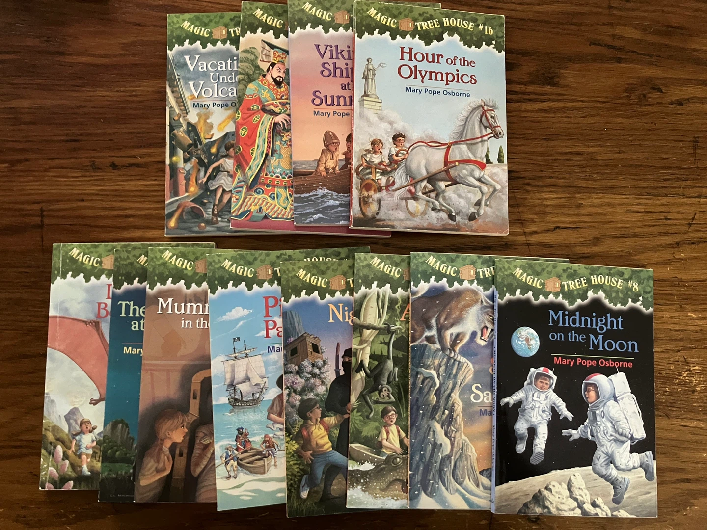 Magic Tree House books