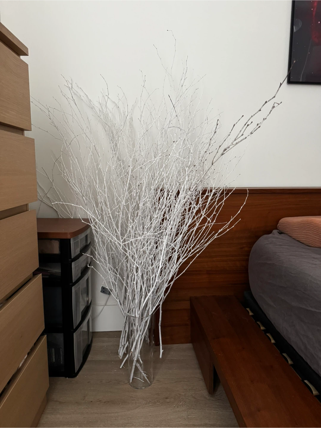 White Decorative Birch Branches