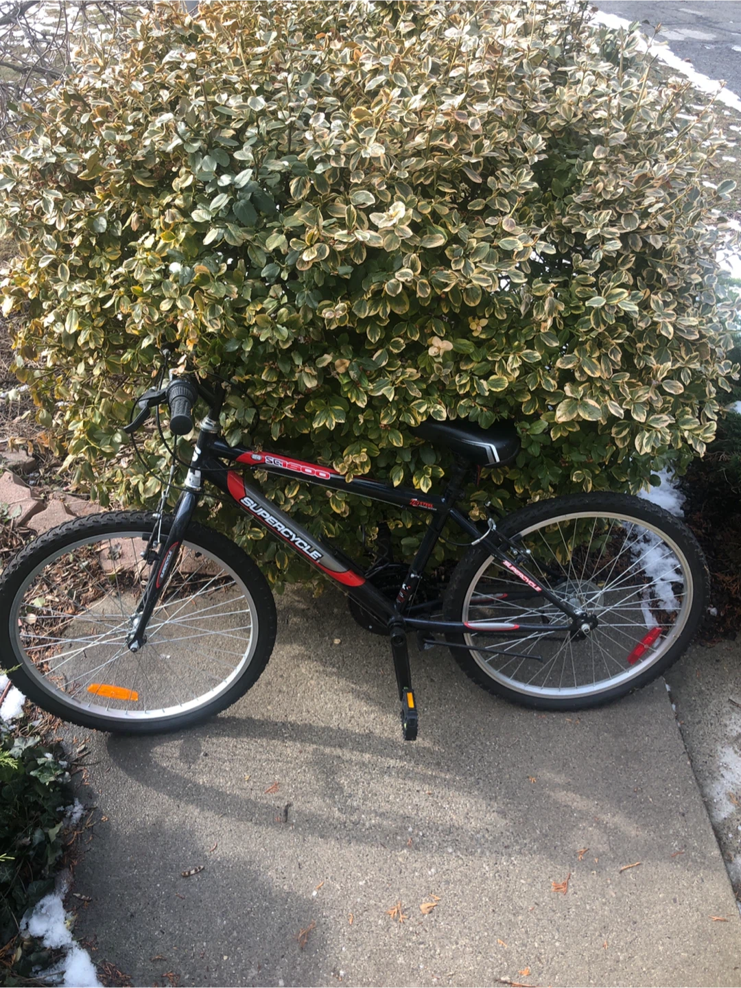 Supercycle Mountain Bike