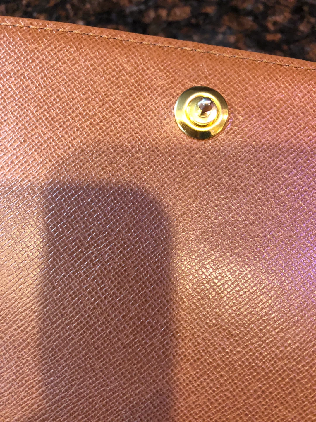 Louis Vuitton Vintage Clutch - photo 5