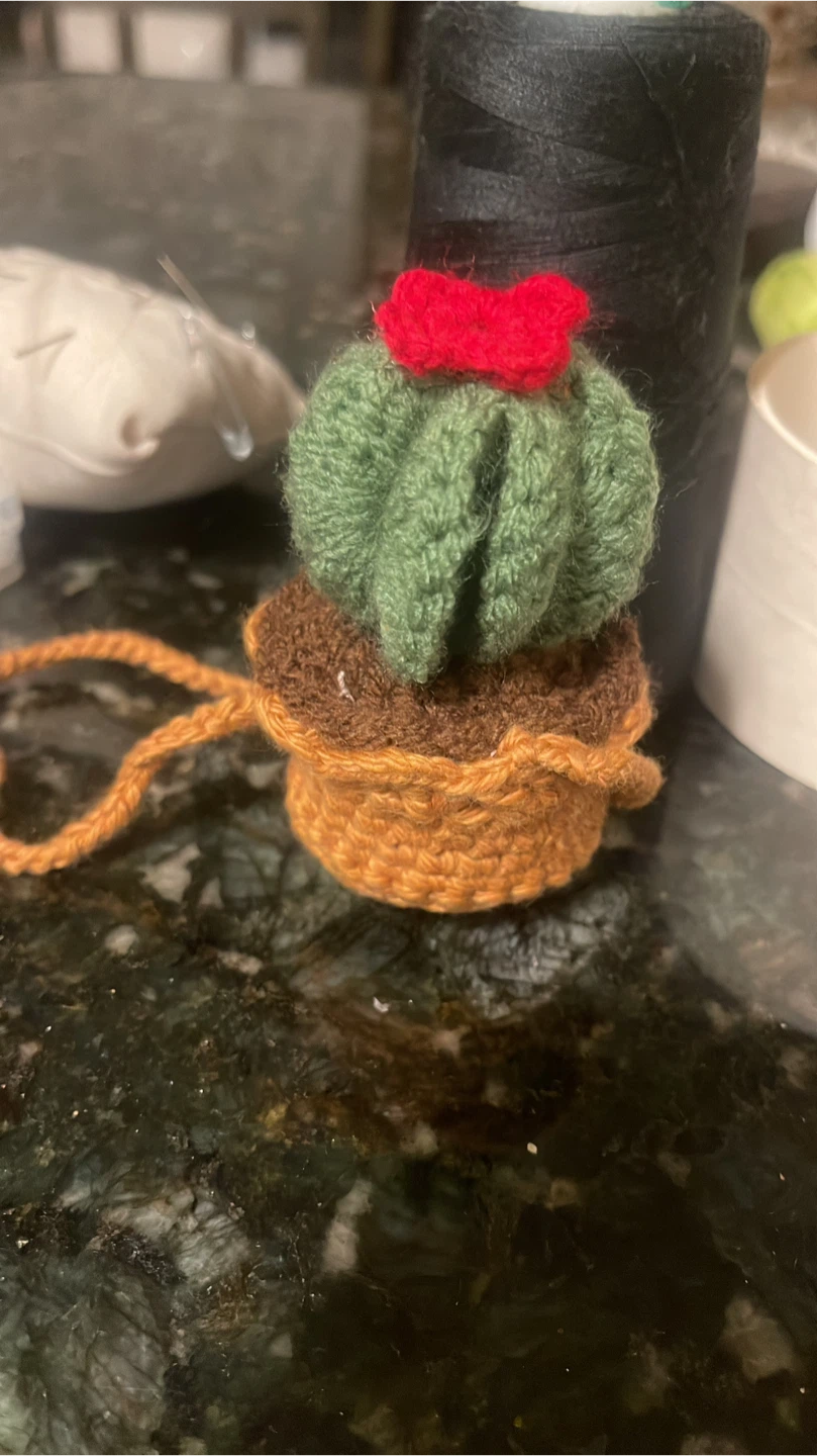 Crocheted Cactus Decor