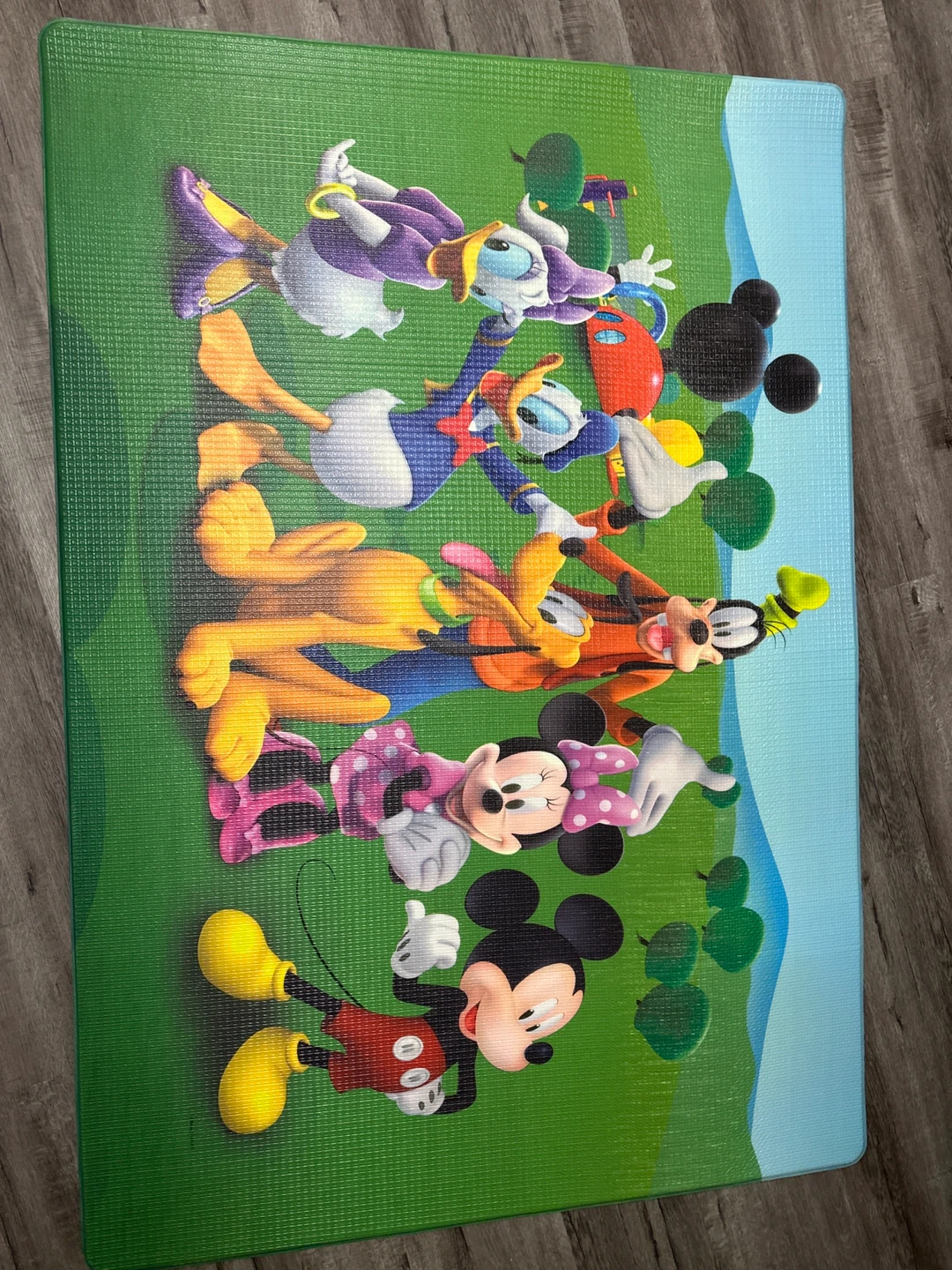 Disney Baby Play Mat - Mickey Mouse & Friends - photo 2