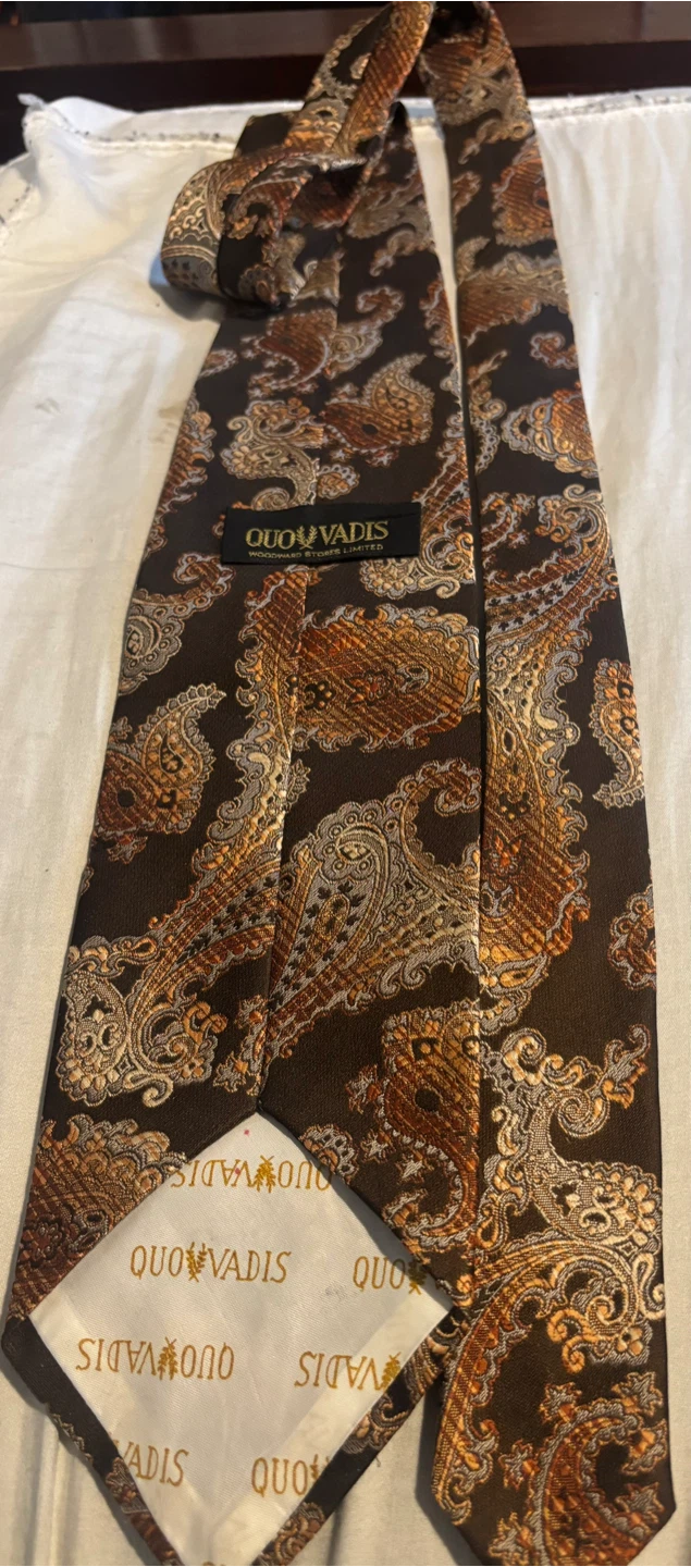 QUOVADIS Men's Paisley Necktie - photo 2