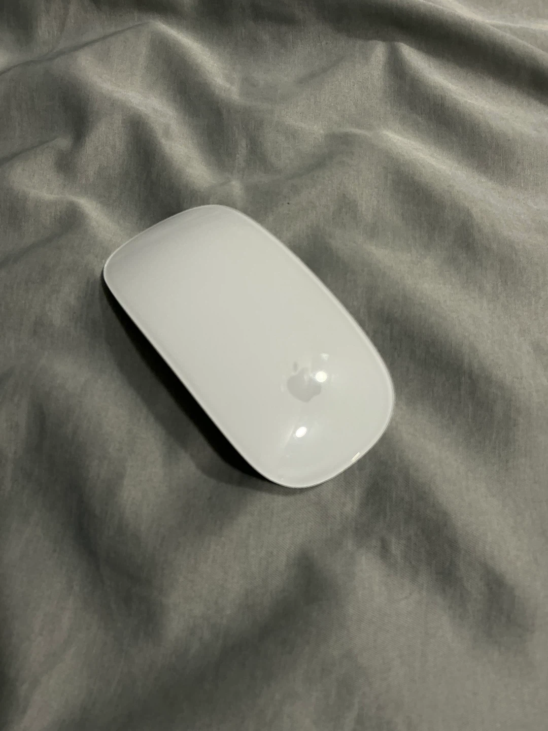 Apple Magic Mouse (lightning port)