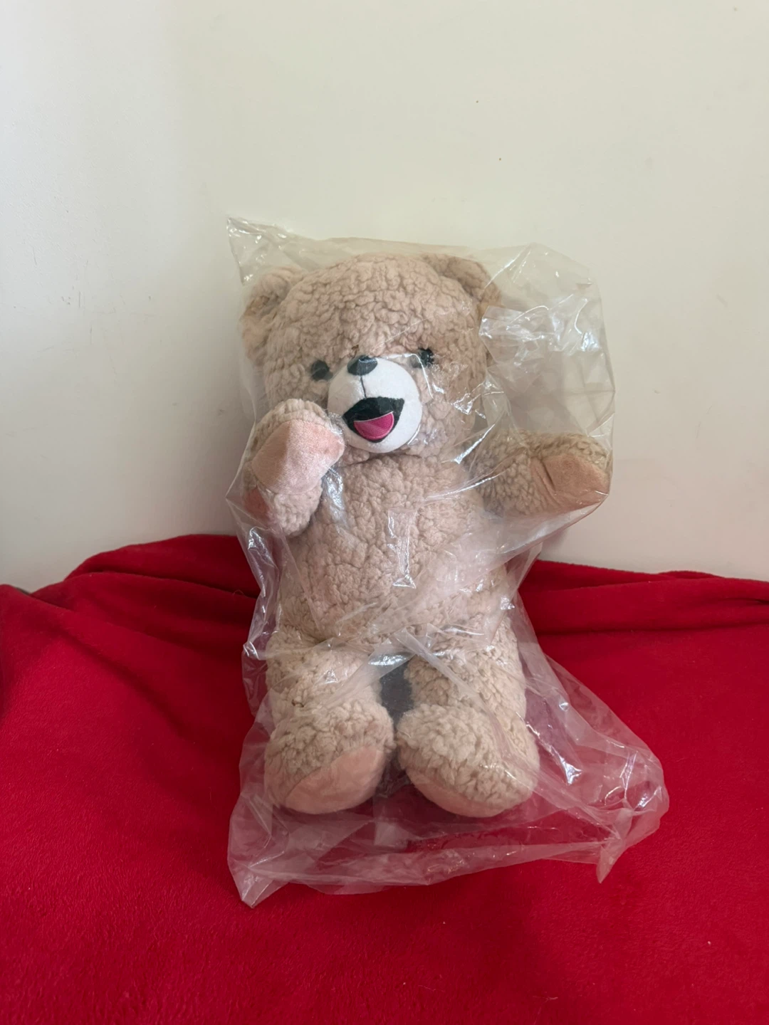 Teddy Bear Plush Toy