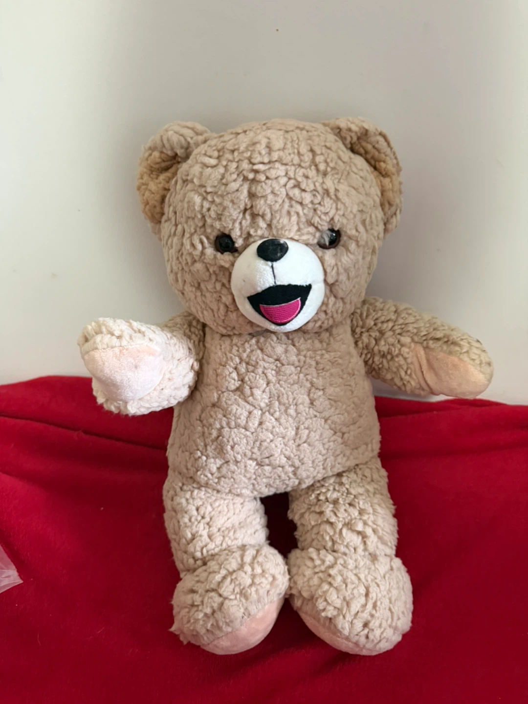 Teddy Bear Plush Toy - photo 2
