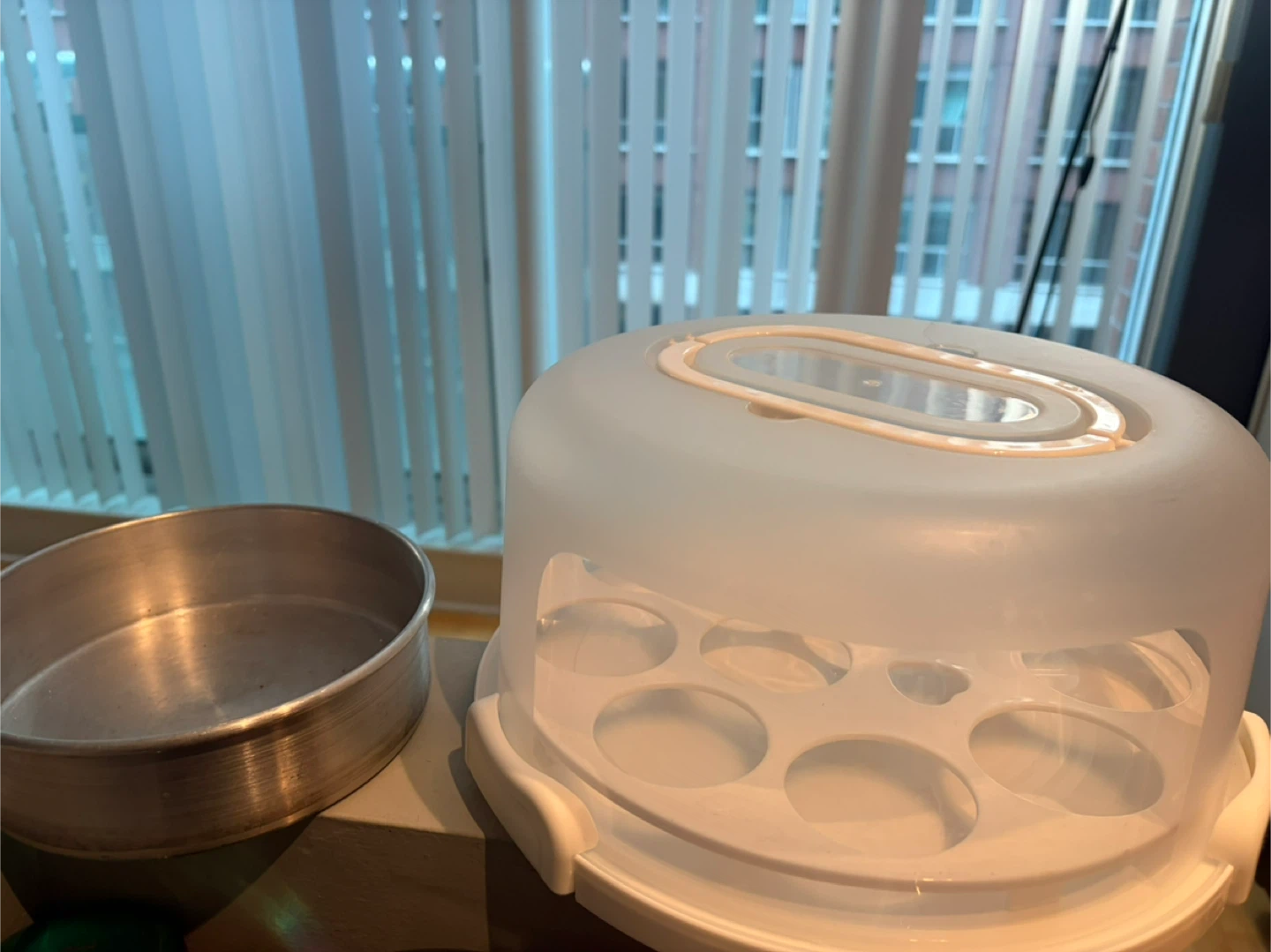 Cake Carrier & Baking Pan