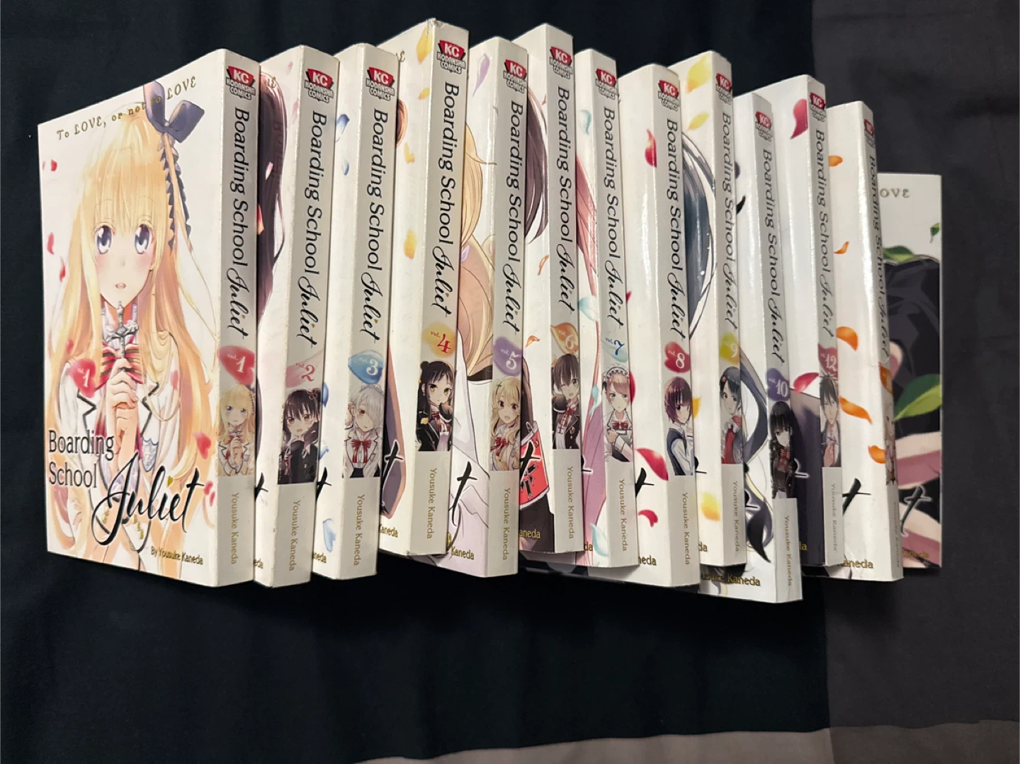 Boarding School Juliet Manga Volumes 1-13 - photo 4