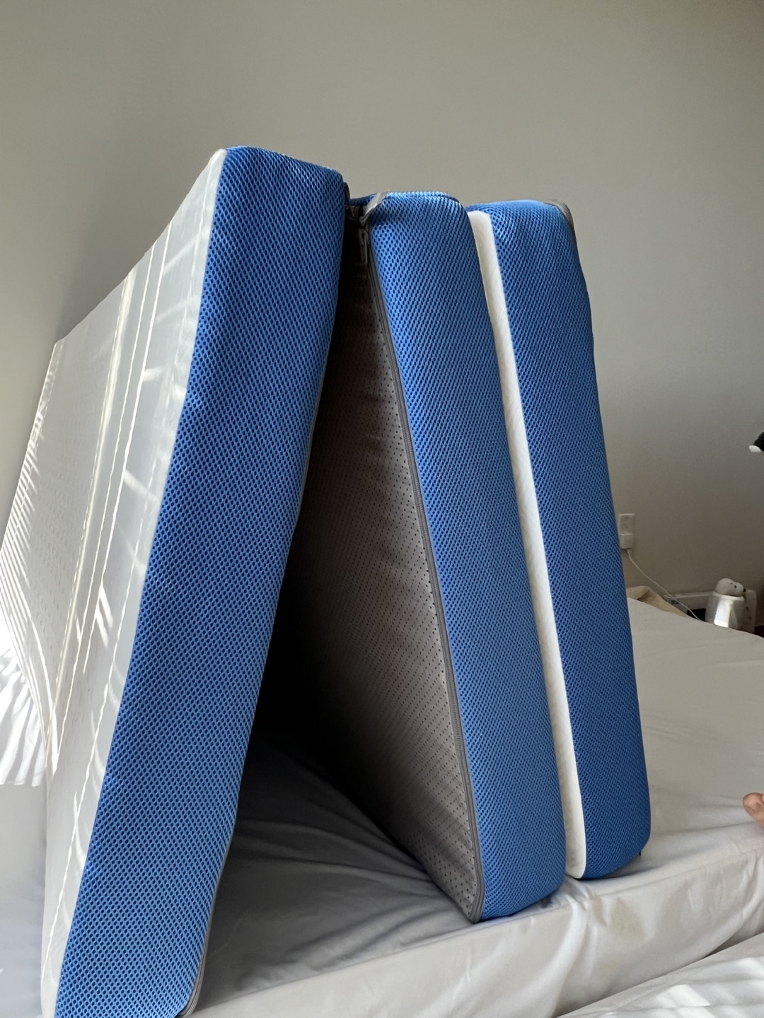 Foldable Queen Mattress with Carry Bag