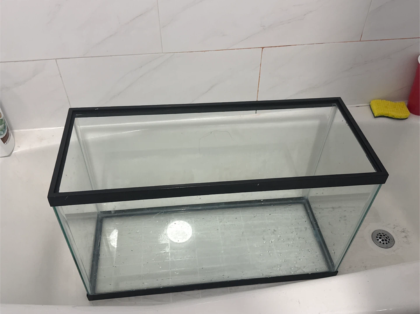 Glass Aquarium Tank