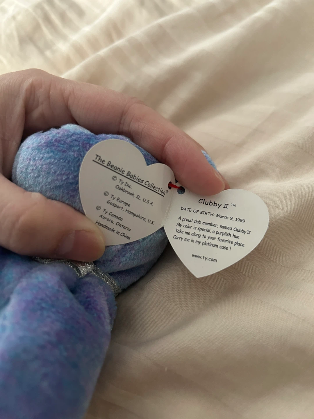 Retired Vintage Ty Beanie Baby Clubby II Bear (special edition) - photo 3