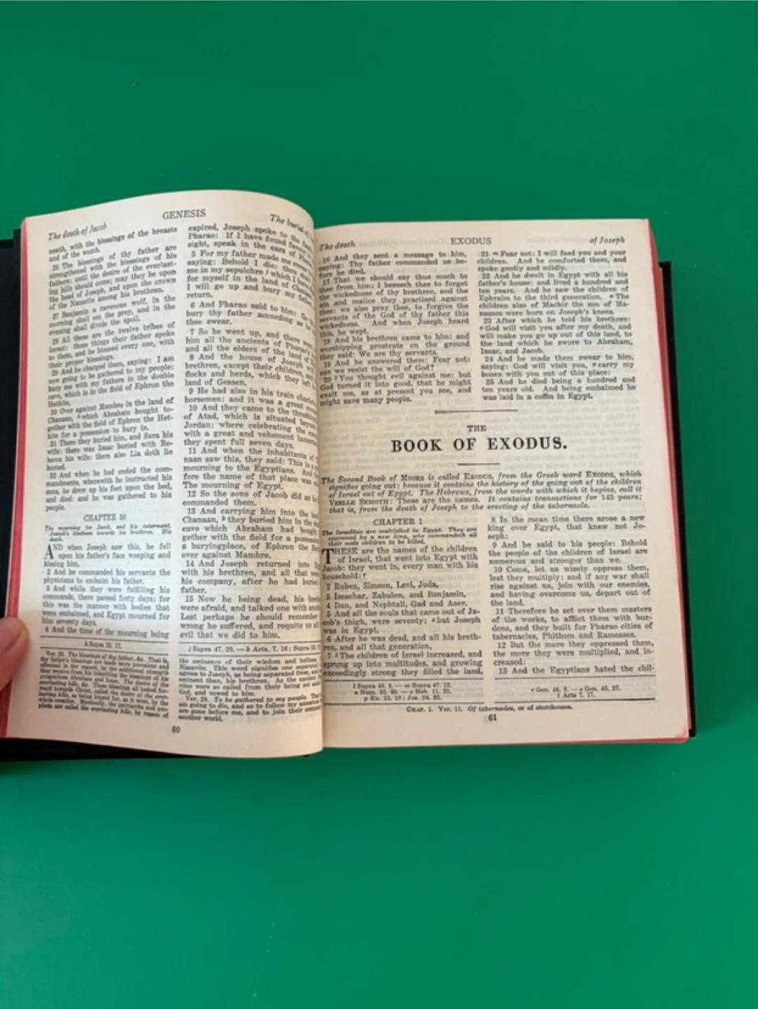 Free Bibles – NIV Thinline & Holy Bible - photo 2
