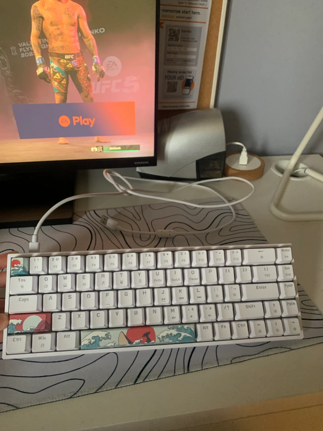 Custom Mechanical Keyboard + Blue Switches