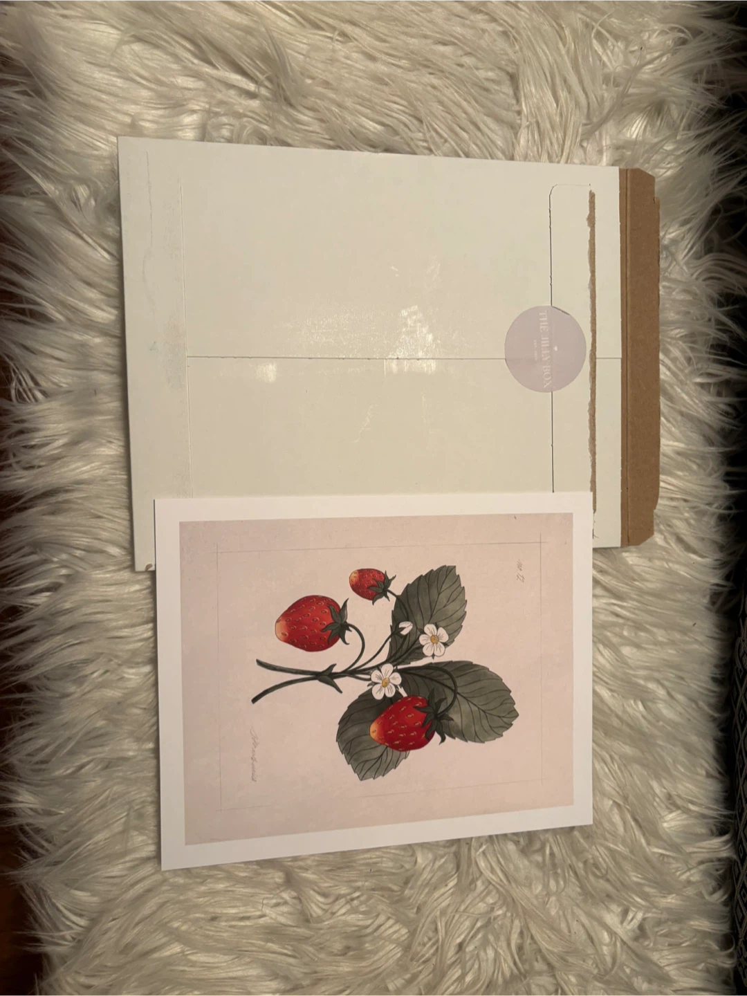The Jilly Box Strawberry Botanical Print
