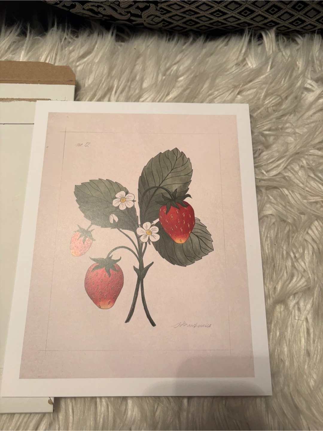 The Jilly Box Strawberry Botanical Print - photo 2