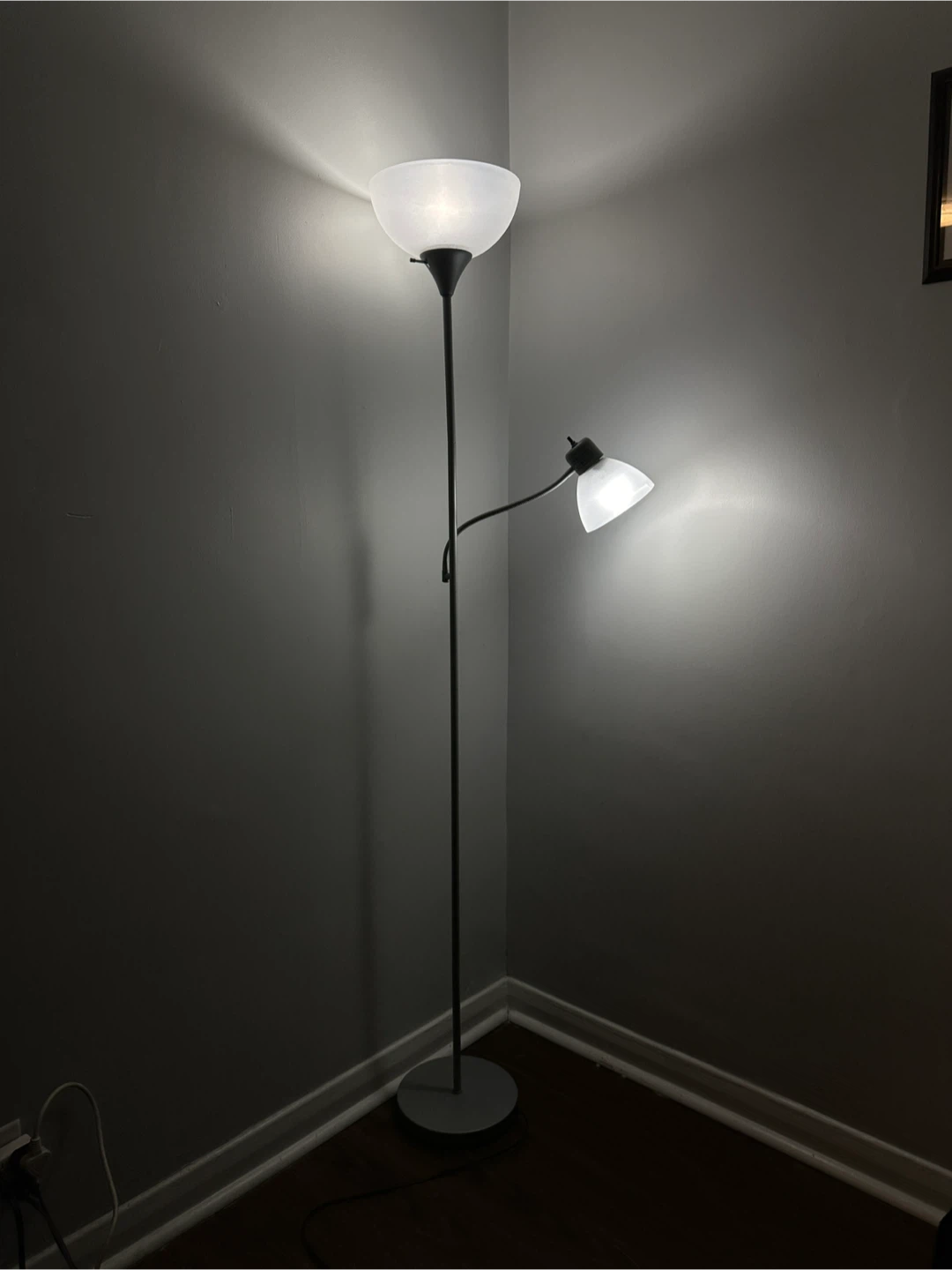 Adjustable Floor Lamp with Reading Light