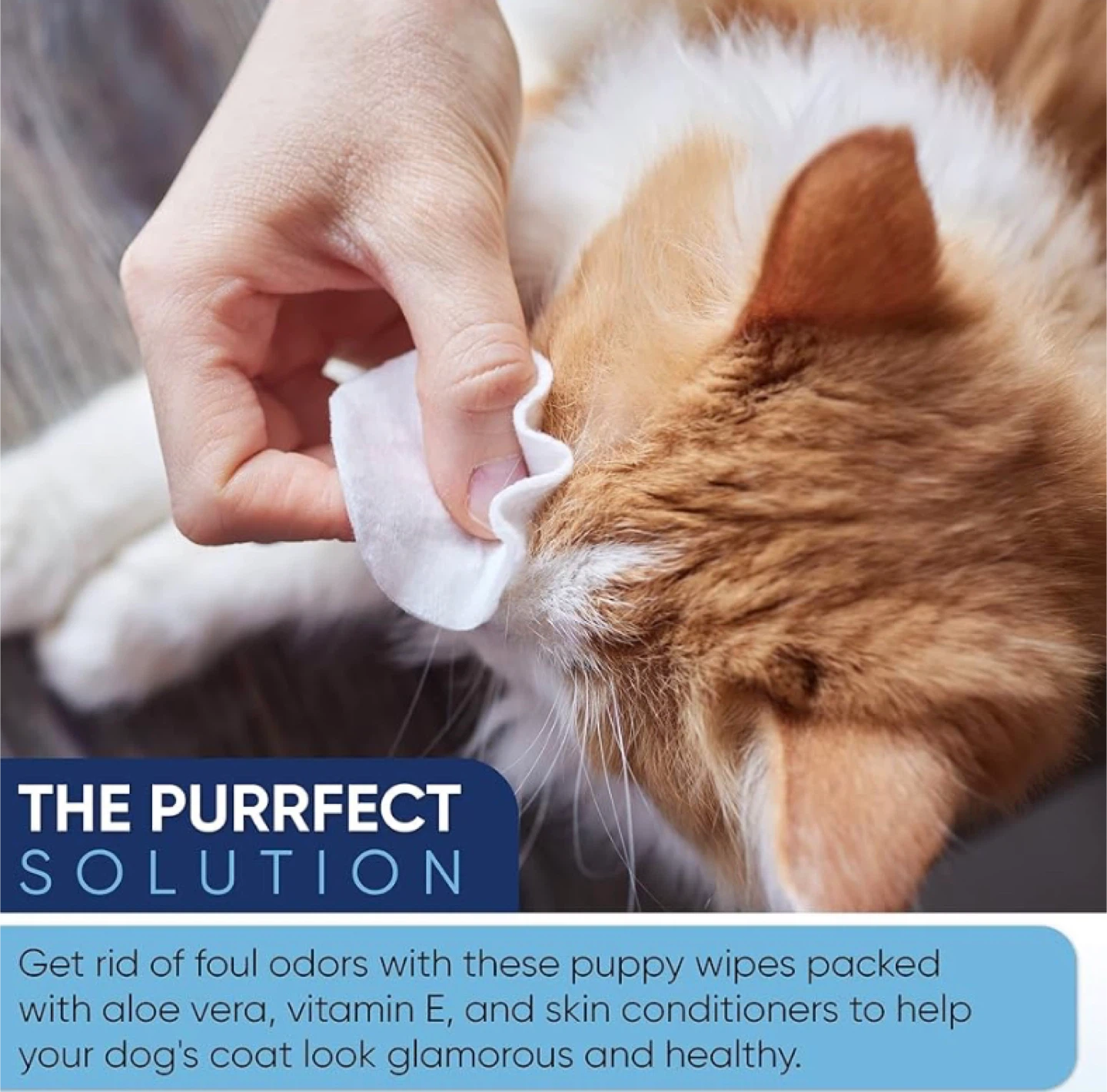 MagiCare Hygienic Pet Wipes - 400 Count - photo 4