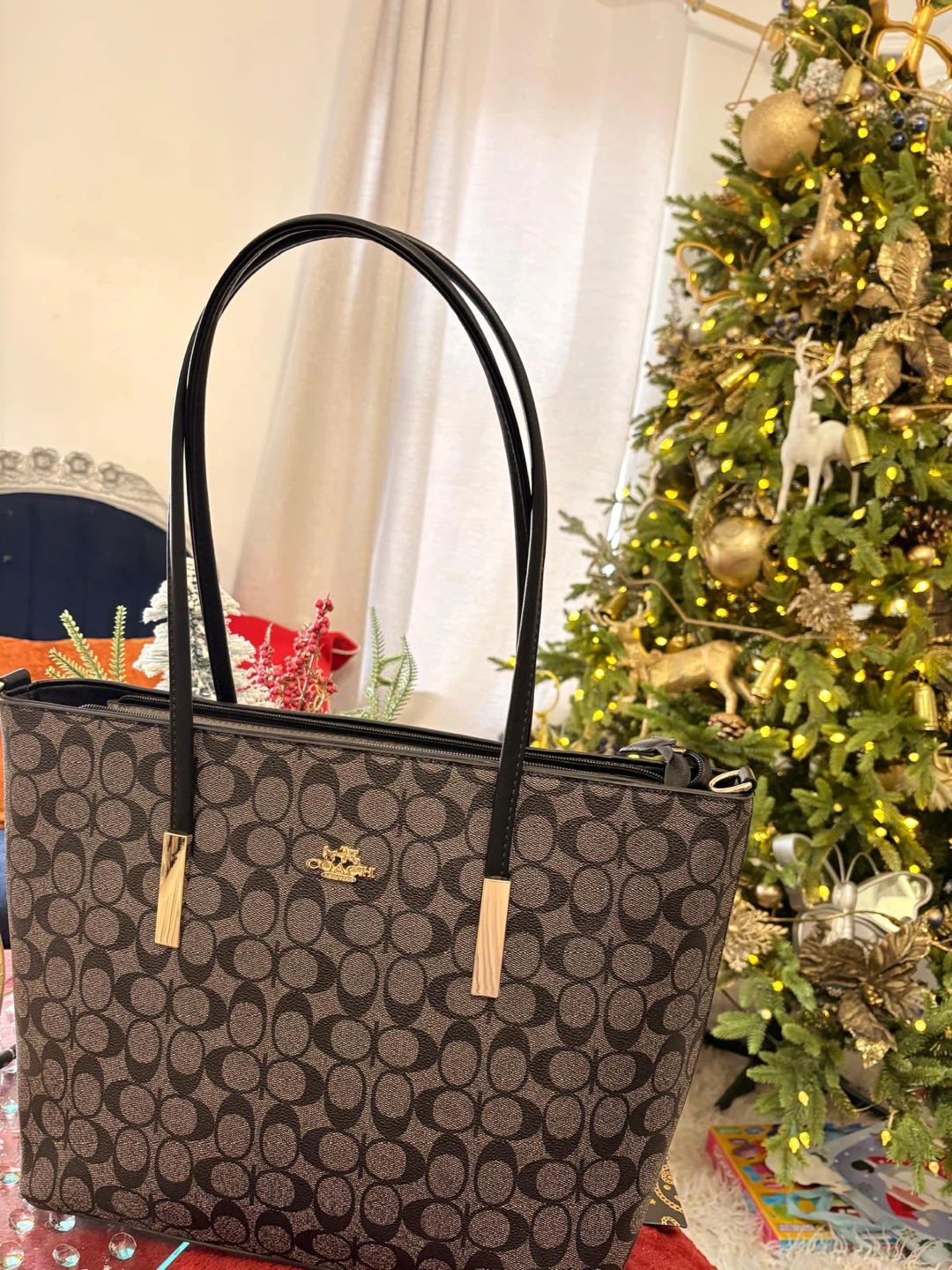 Coach Signature Tote Bag
