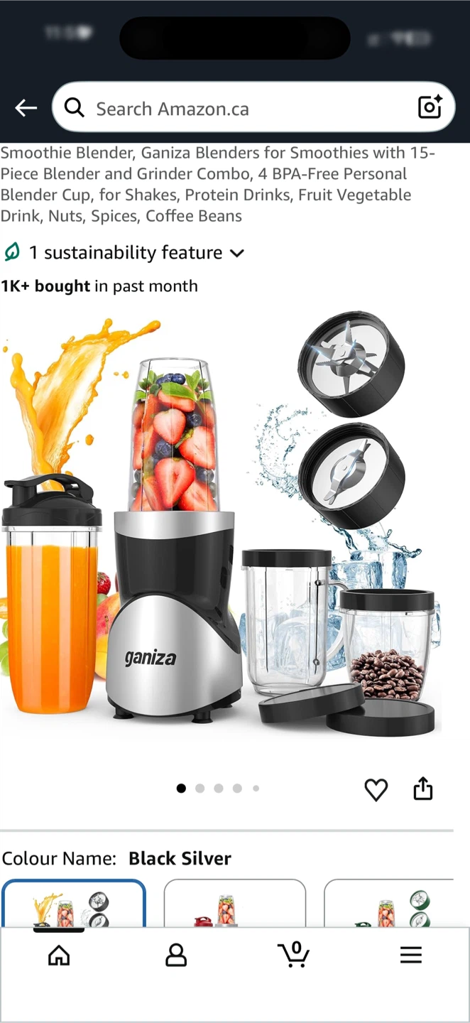 Ganiza Smoothie Blender and Grinder Combo