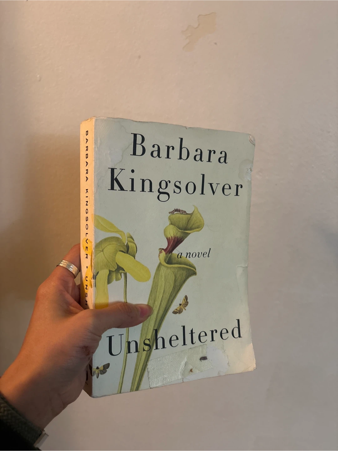 Unsheltered by Barbara Kingsolver
