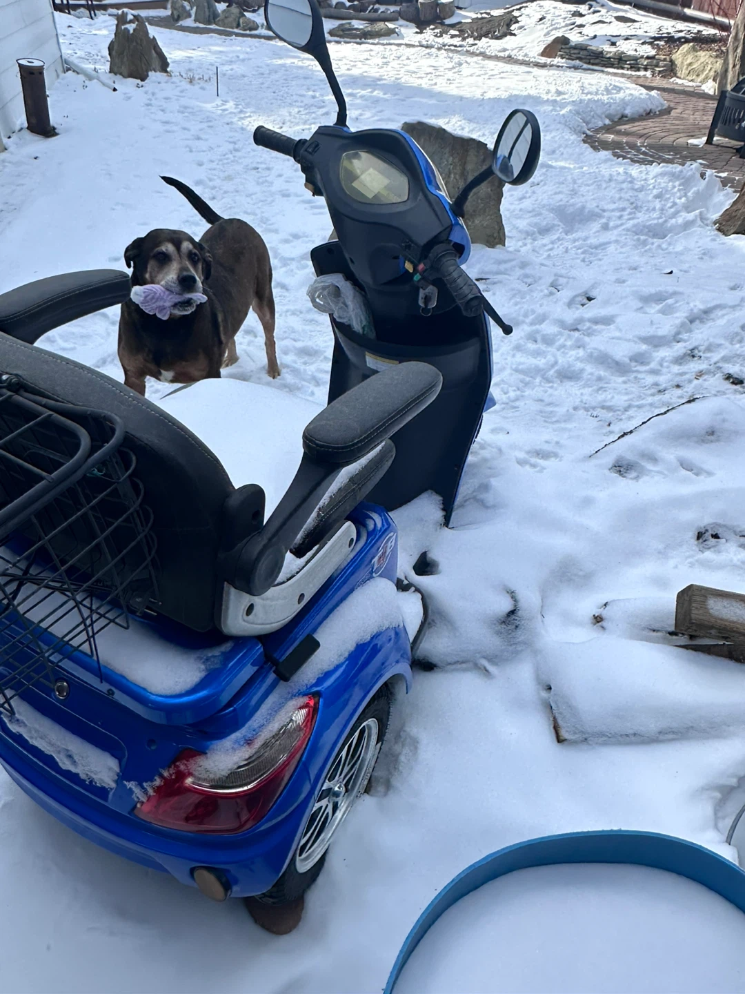 Blue 3-Wheel Mobility Scooter - photo 4
