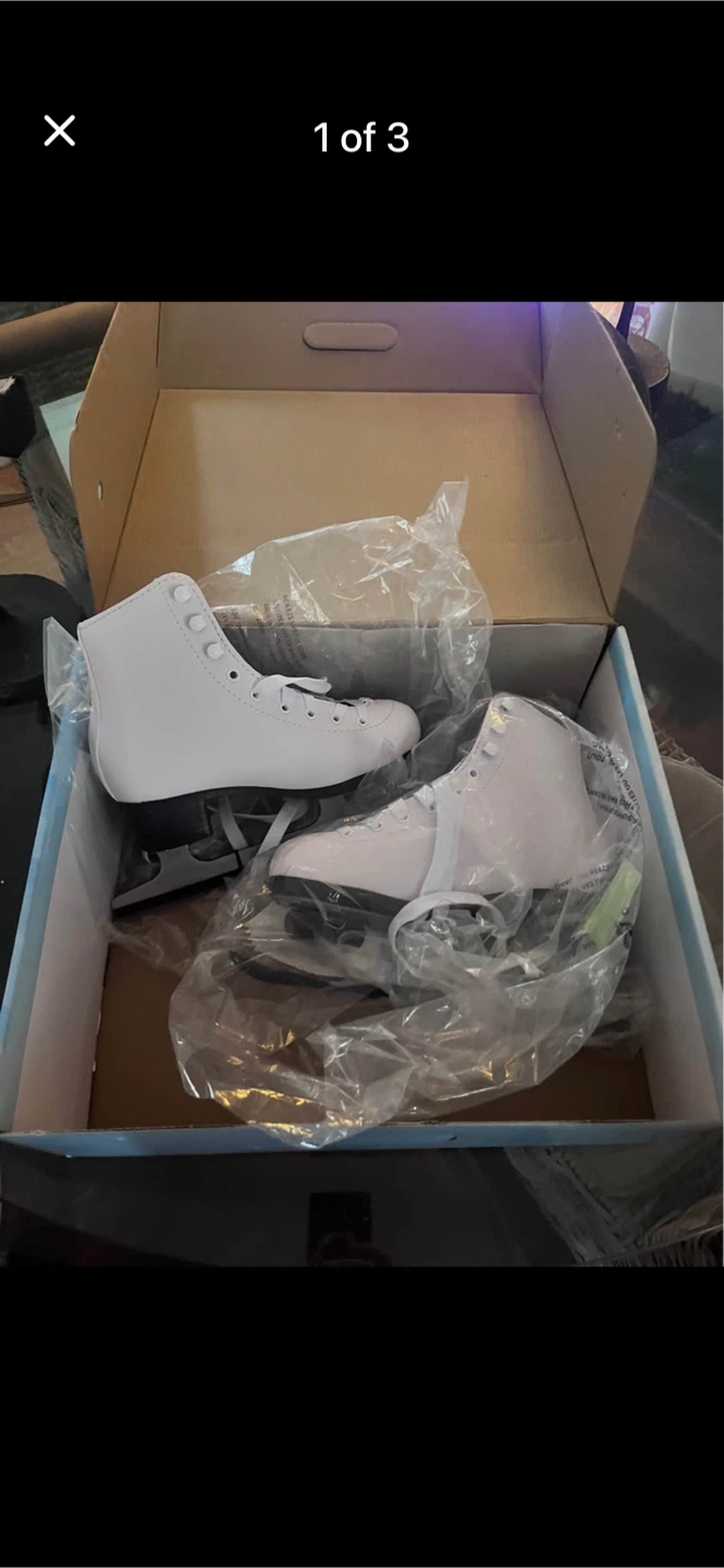 Dream Figure Skates