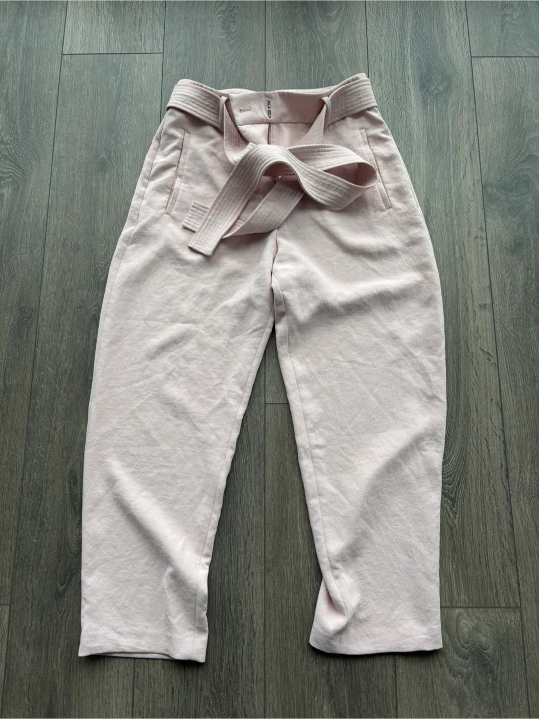 Aritzia dress pants
