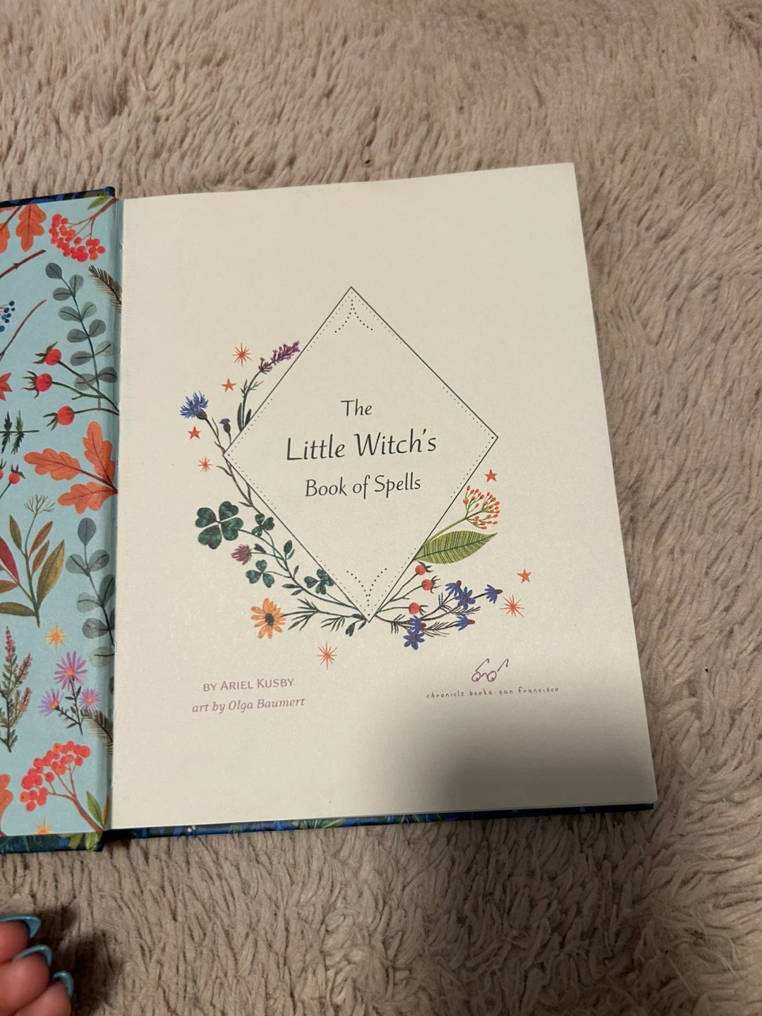 The Little Witch's Book of Spells - photo 4