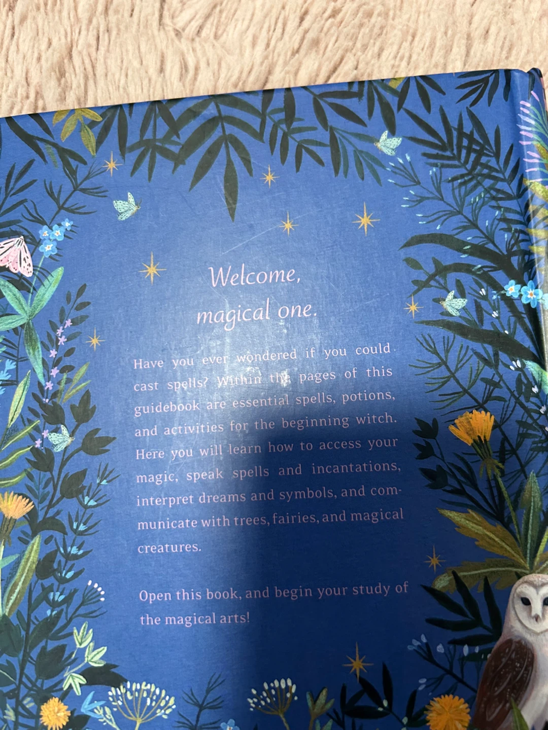 The Little Witch's Book of Spells - photo 2